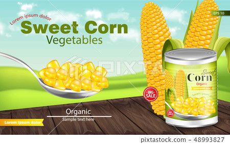 Sweet corn Vector realistic. Metal tin. Product Sweet corn Vector realistic. Metal tin. Product 48993827