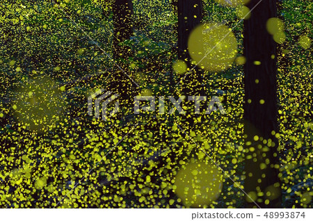 Himefura no Ranbi 48993874