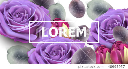 Purple roses card Vector watercolor. Floral Purple roses card Vector watercolor. Floral 48993957