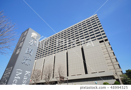 東京城市景觀法院日本聯合政府辦公樓（東京高等法院，東京地方法院等） 48994325