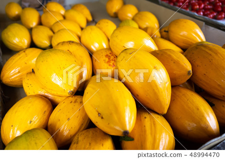 yellow tropical fruit of canistel 48994470