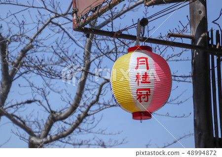 Lantern 48994872
