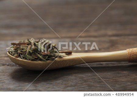 «草本»丹迪獅子葉 48994954