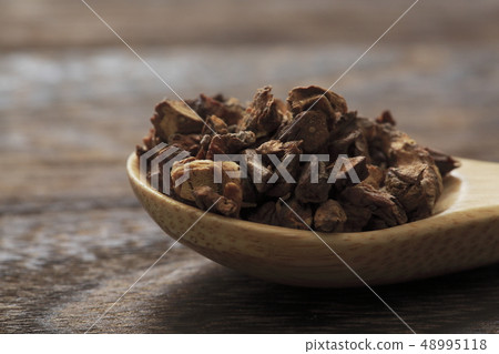 “草本”丹迪獅子路線 48995118