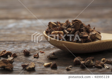 “草本”丹迪獅子路線 48995119