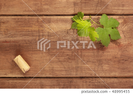 Overhead photo of vine leaf with cork and copyspace 48995455