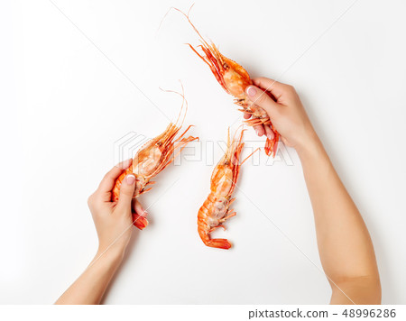 Woman hands white. Woman hands white. 48996286