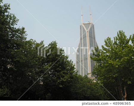 High-rise buildings from trees of People's Square 48996365