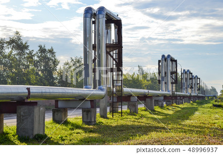 Overground heat pipes. Pipeline above the earth 48996937