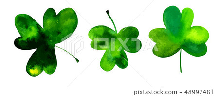 A vector set of three shamrocks, Irish clovers, hand drawn in watercolor and isolated on a white 48997481