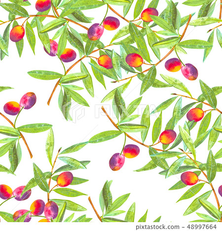 A seamless watercolor pattern of vibrant olive tree branches with olives, a vegan repeat print on a A seamless watercolor pattern of vibrant olive tree branches with olives, a vegan repeat print on a 48997664