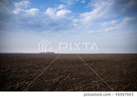 Plowed, sown field 48997665