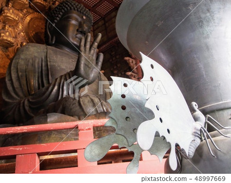 Nara Big Buddha and Butterfly 48997669