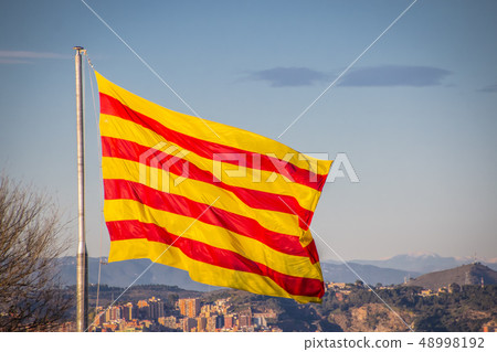 Flag of Catalonia. Sanyor flies over Barcelona 48998192