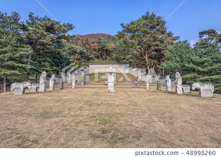 京畿道坡州市Yongkwan Jangmun 京畿道坡州市Yongkwan Jangmun 48998260