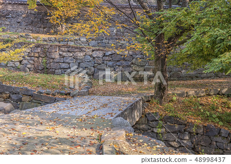 Maple leaves, Bogwangsa temple, Paju city, Gyeonggi-do 48998437