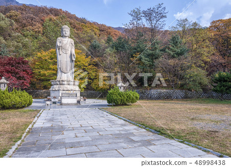 京畿道坡州市Bokwang寺 京畿道坡州市Bokwang寺 48998438