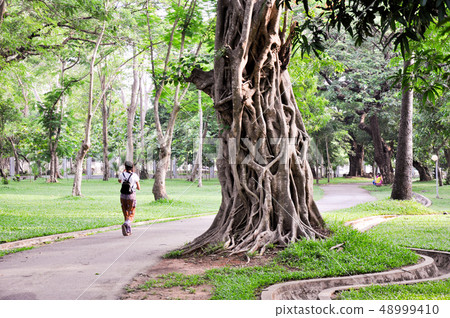 myanmar, rangoon, yangon 48999410