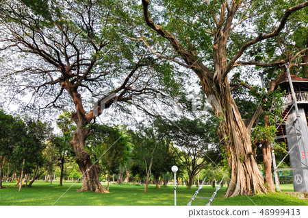 myanmar, rangoon, yangon 48999413