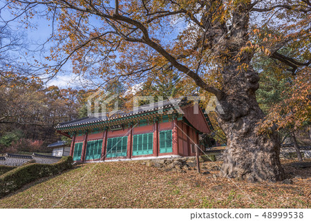 Kangin Temple, Jaeunsaewon, Paju Iyi ruins, Paju, Gyeonggi-do 48999538