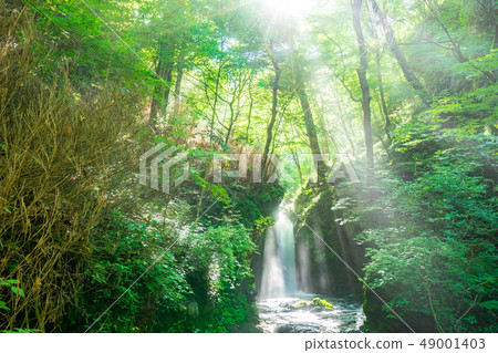 Waterfall of dragon return Karuizawa Kosuke [Nagano Prefecture] 49001403