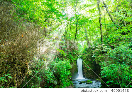 Waterfall of dragon return Karuizawa Kosuke [Nagano Prefecture] 49001428