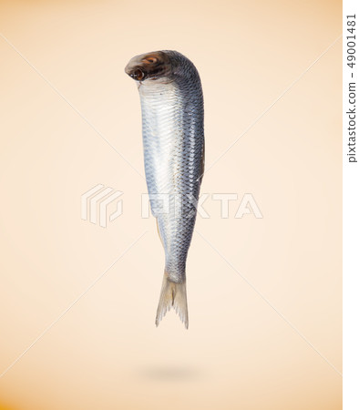 Fresh raw sardine isolated on beige background Fresh raw sardine isolated on beige background 49001481