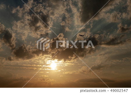 Onoura yellowish 49002547