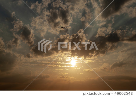 Onoura yellowish 49002548