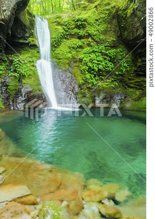 Mysterious Shirasuji Falls (Vertical) 49002866