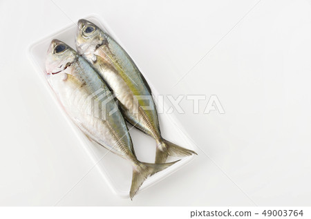 Horse mackerel, Toppak, Gachu Horse mackerel, Toppak, Gachu 49003764