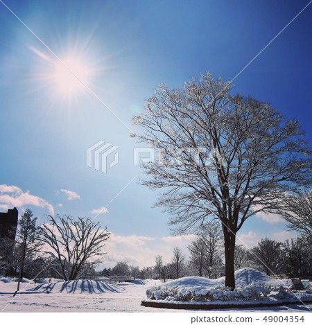 Snow and sun 49004354