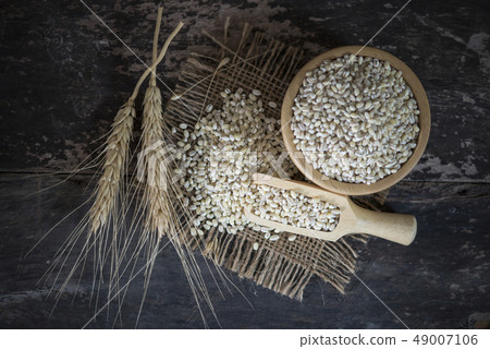 White sorghum isolated on background. 49007106
