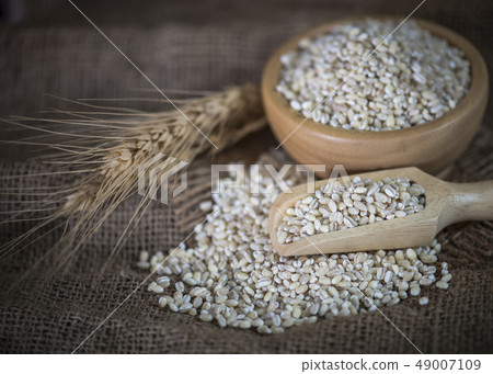 White sorghum isolated on background. 49007109