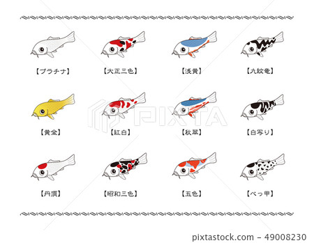 List of representative varieties of Nishikigoi Colored carp illustration 49008230