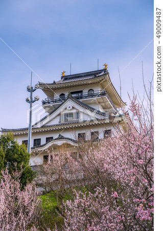 A castle in the sky in Tottori Prefecture Kawara Castle where plum trees are in full bloom Official name Maruyama Castle 49009487