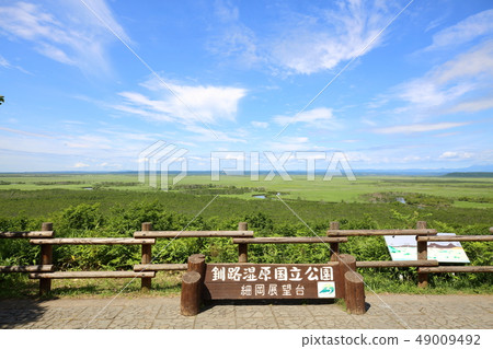 Kushiro Marsh 49009492