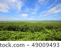 Kushiro Marsh 49009493