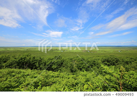 Kushiro Marsh Kushiro Marsh 49009493