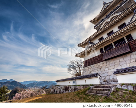 A castle in the sky in Tottori Prefecture Kawara Castle where plum trees are in full bloom Official name Maruyama Castle A castle in the sky in Tottori Prefecture Kawara Castle where plum trees are in full bloom Official name Maruyama Castle 49009541
