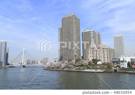 通過隅田川和中央Ohashi的遊船在春天 通過隅田川和中央Ohashi的遊船在春天 49010954