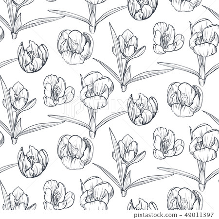 Vector seamless pattern with hand drawn spring flowers and leaves Vector seamless pattern with hand drawn spring flowers and leaves 49011397