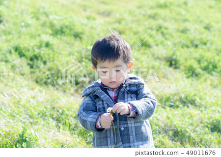Three-year-old child to confirm fluff of dandelion Three-year-old child to confirm fluff of dandelion 49011676