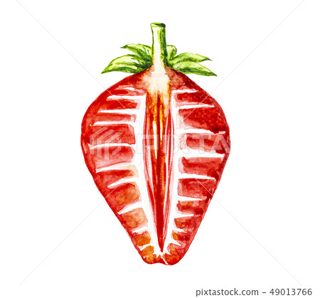 Strawberry fruit painting.Painted with watercolor. Strawberry fruit painting.Painted with watercolor. 49013766