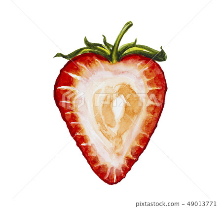 Strawberry fruit painting.Painted with watercolor. Strawberry fruit painting.Painted with watercolor. 49013771