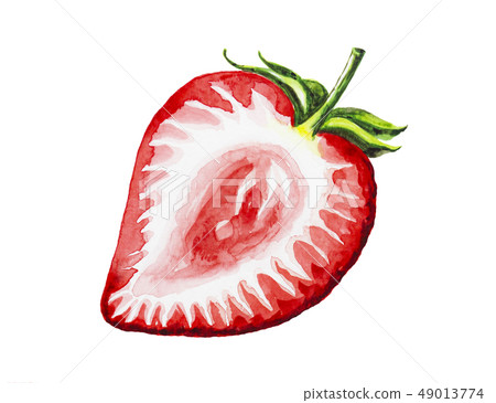 Strawberry fruit painting.Painted with watercolor. Strawberry fruit painting.Painted with watercolor. 49013774