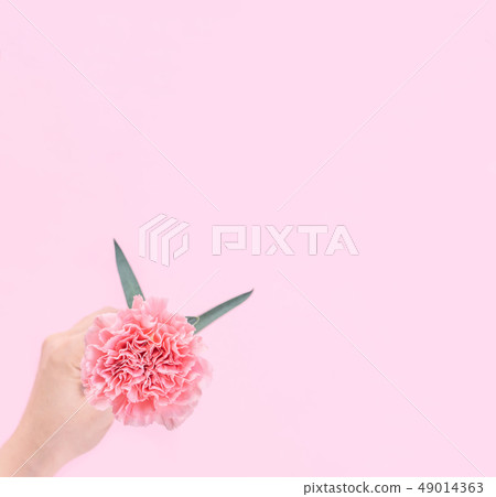 Mother's Day Yasuno Kaoru Sending Flower 卡片 汫Soft Carnation Top View mother's day 49014363