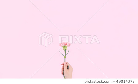 Mother's Day Yasuno Kaoru Sending Flower 卡片 汫Soft Carnation Top View mother's day 49014372