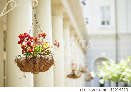 Hanging planter gardening Hanging planter gardening 49014513