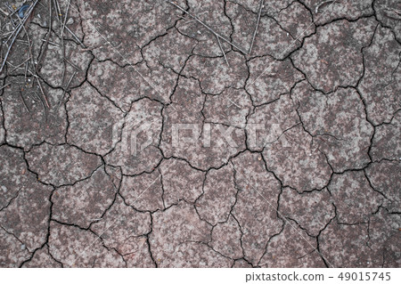 Dry land or dry soil. Cracked ground background. 49015745